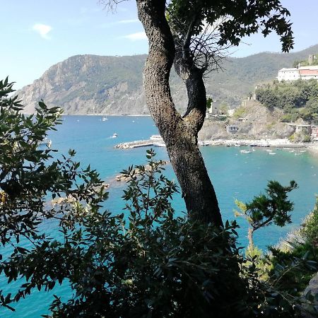 Апартаменты La Terrazza Sul Mare ☆☆☆☆☆ Monterosso Монтероссо-аль-Маре Экстерьер фото