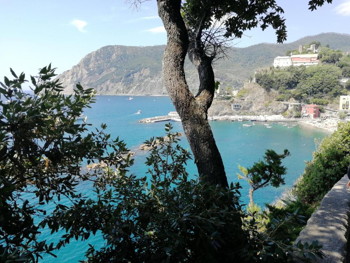 Апартаменты La Terrazza Sul Mare ☆☆☆☆☆ Monterosso Монтероссо-аль-Маре Экстерьер фото